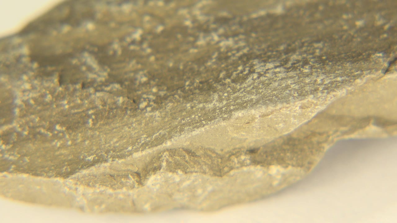Macro view of the grey stone fragment in Westminster, Colorado, with its jagged lower edge shifted across the frame and no visible people.