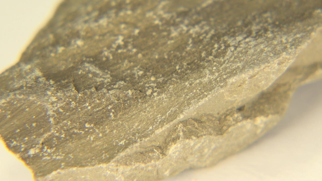 Grey stone shard surface with granular specks and broken edge.