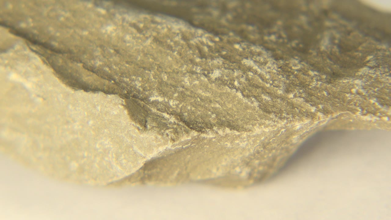 Close macro frame of the Westminster rock specimen showing a chipped tan edge beneath a darker speckled surface, with no visible people.