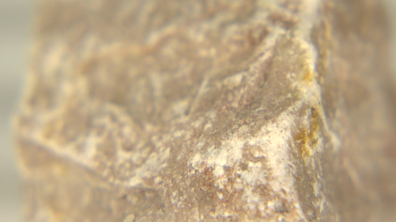 Close 2015 Westminster, Colorado frame of a tan brown rock edge with pale mineral-like patches and a soft background, no visible people.
