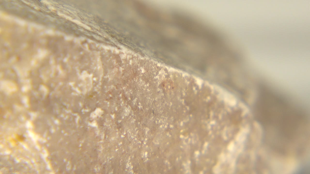 Extreme close-up of a tan and gray rock face in Westminster, Colorado, with a soft blurred background and no visible people.