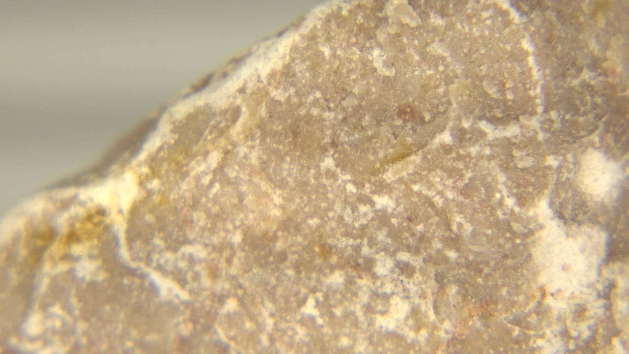 At 0:00, a close Westminster, Colorado exhibit view shows the upper face of a tan brown rock with pale mineral streaks and no visible people.