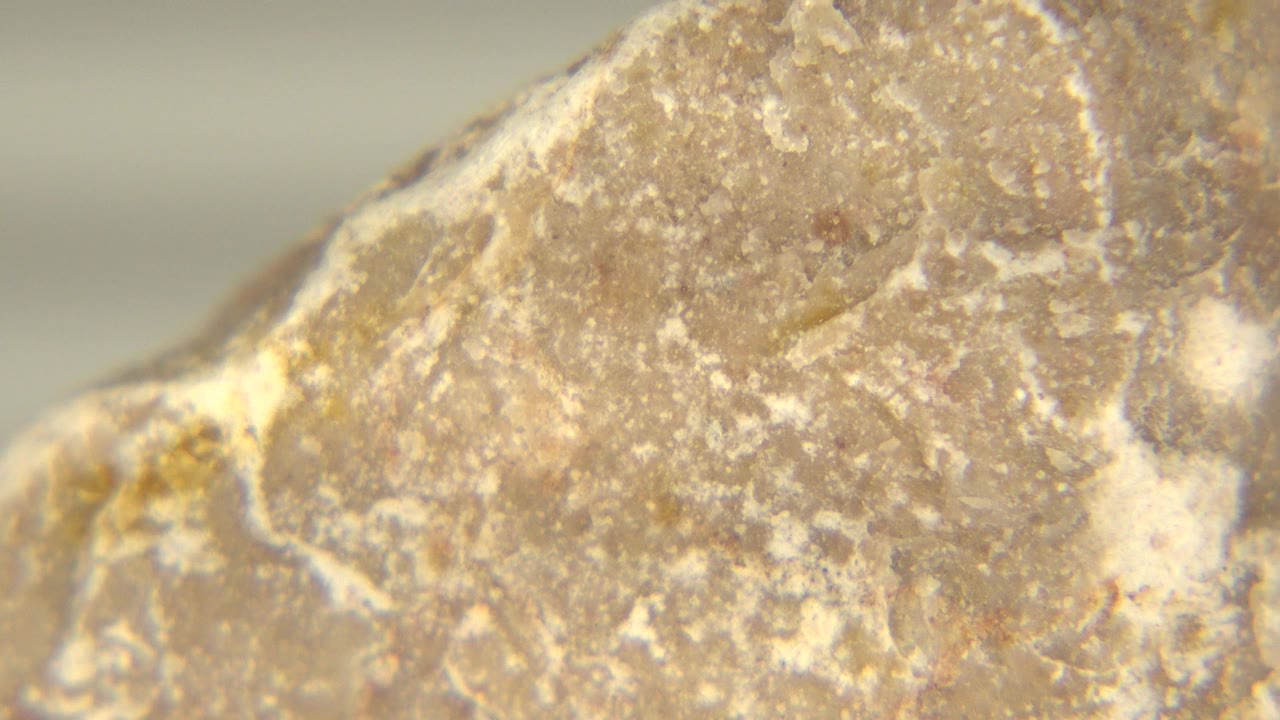 At 0:01, the Westminster exhibit rock remains in tight close-up, with a bright pale seam crossing the lower portion and no visible people.