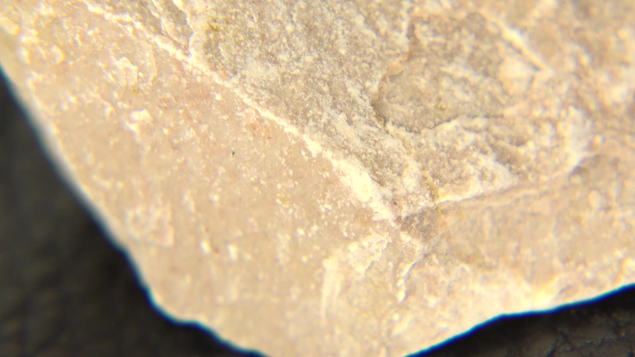 Extreme close-up of a pale yellow stone in Westminster, Colorado, with rough chalky texture, bright upper highlights, dark background, and no visible people.