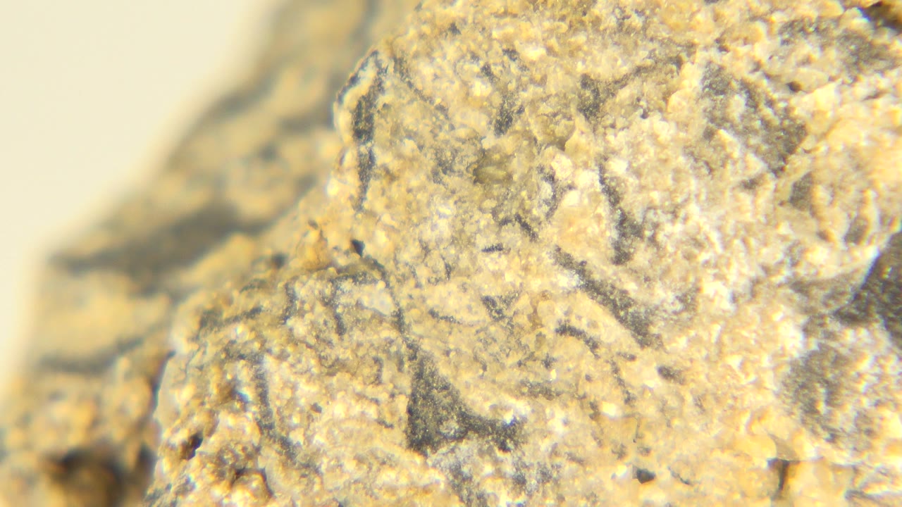 Opening closeup of a tan and gray mineral specimen from the Westminster, Colorado museum exhibition, with a soft cream background and no visible people.