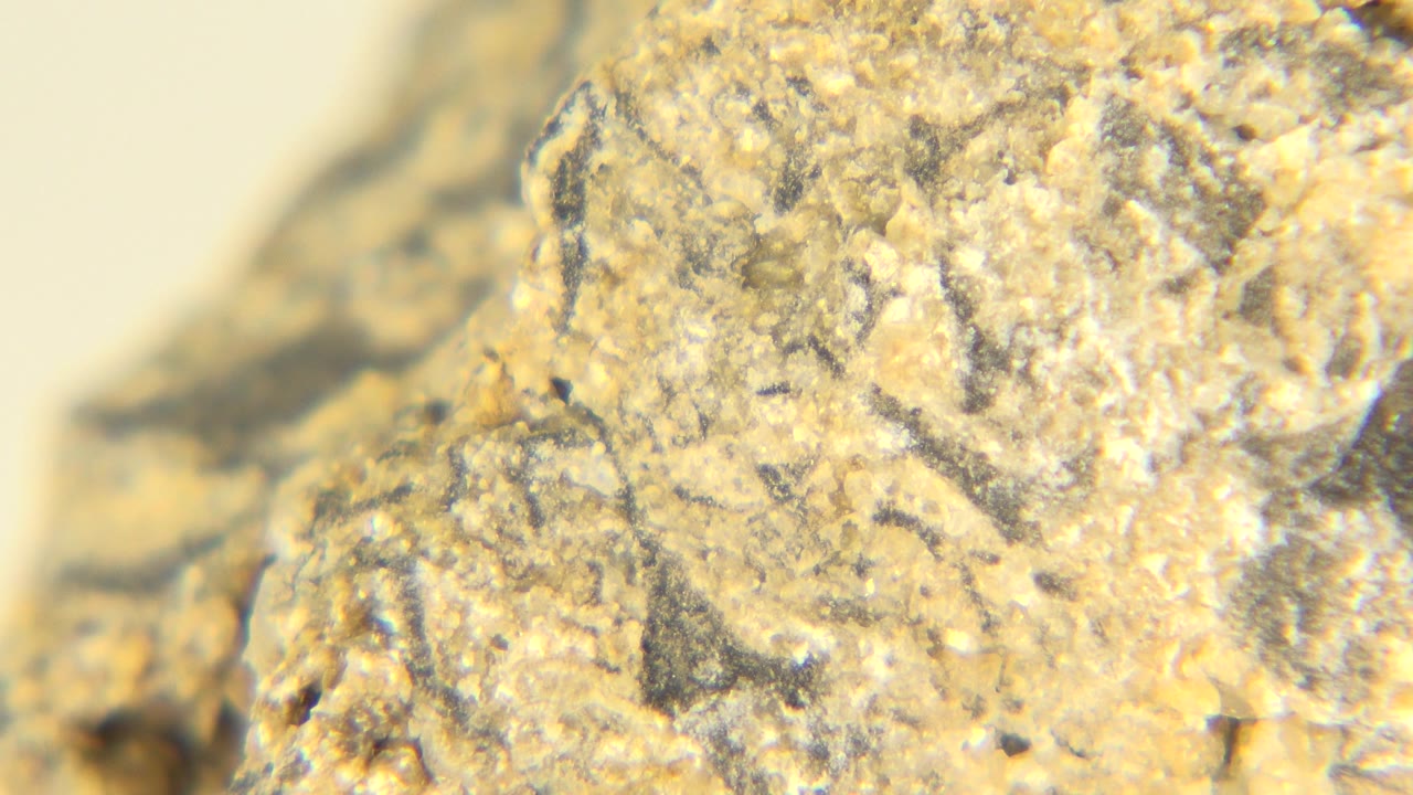 Macro view of the mineral specimen with small granular crystals and gray streaks visible across the warm tan surface, with no visible people.