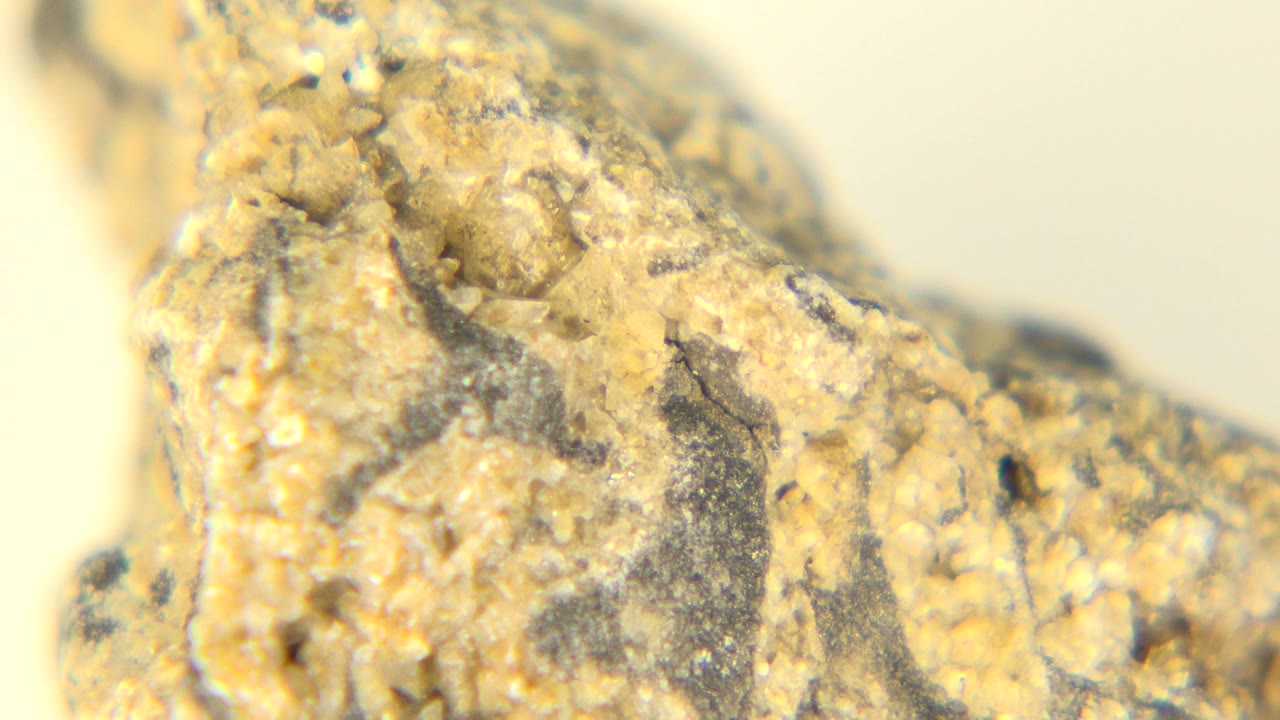 Tight close-up of a tan and gold rock surface in Westminster, Colorado, with gray mineral flecks and no visible people.