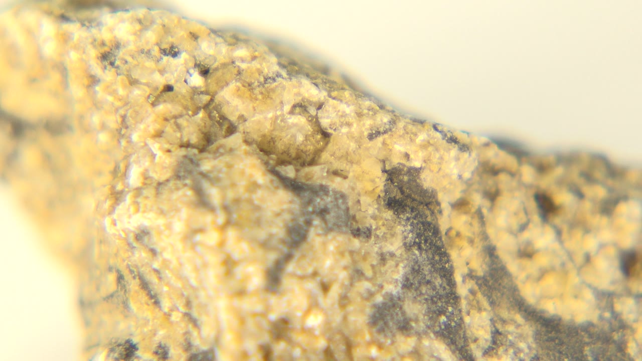 Close rock detail with a raised ridge and dark patches.