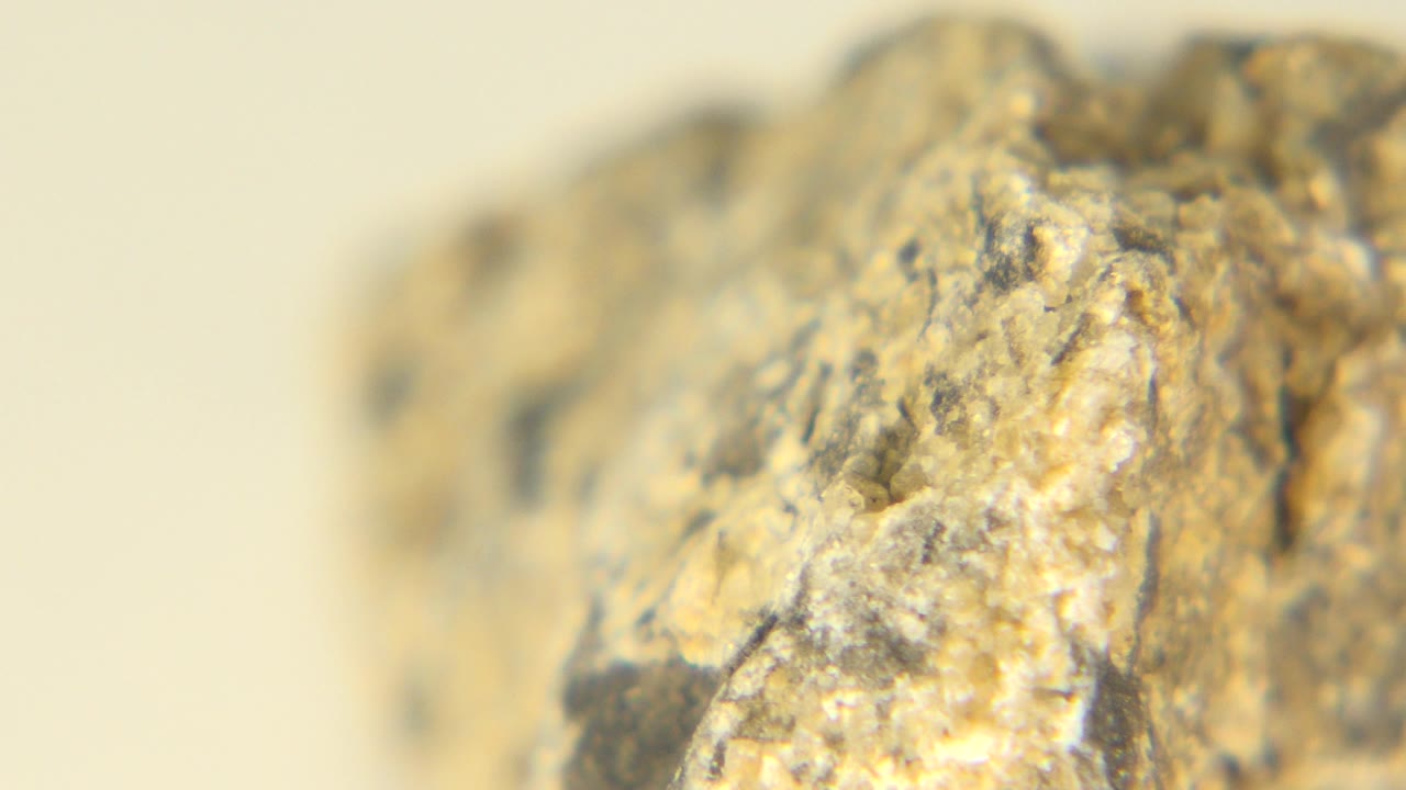 At 0:00, a close macro view in Westminster, Colorado shows a tan and gray rock edge with shallow focus and no visible people.
