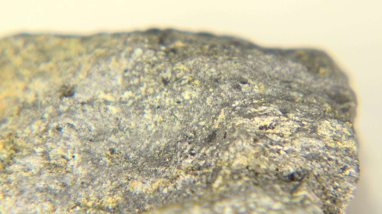 A similar close-up shows the rock's pitted gray surface and tan flecks from a slightly shifted angle in Westminster, Colorado, with no visible people.