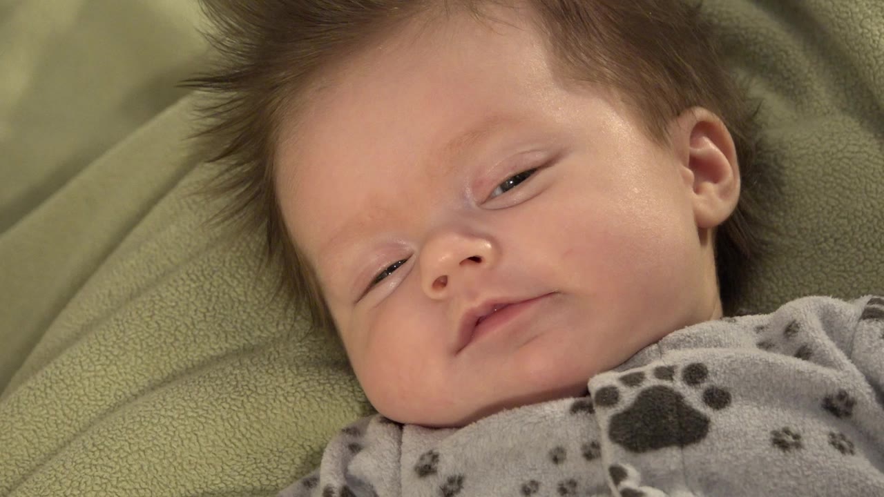 A sleepy long-haired baby lies on a green textured blanket in Westminster, Colorado, with half-open eyes and a gray paw-print fleece visible at the lower edge.