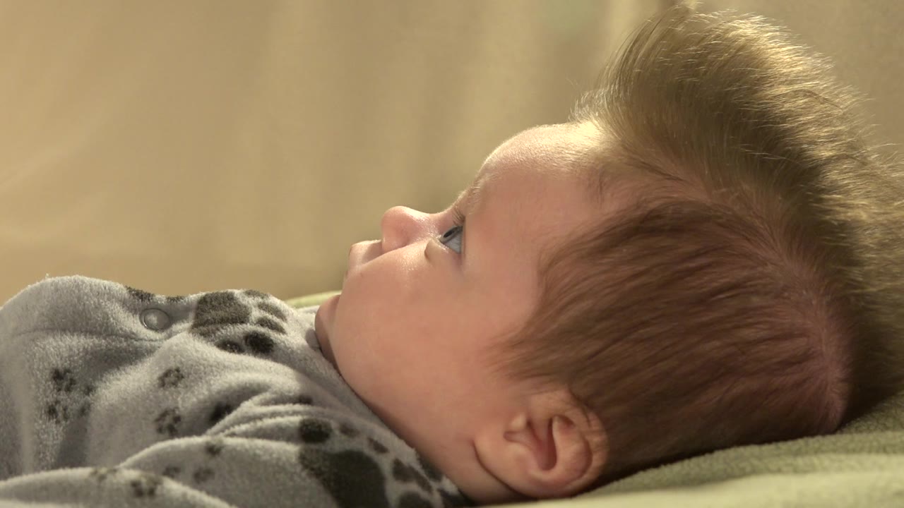 The baby remains in side profile in Westminster, Colorado, with brown hair catching warm light and the gray outfit visible at the shoulder.