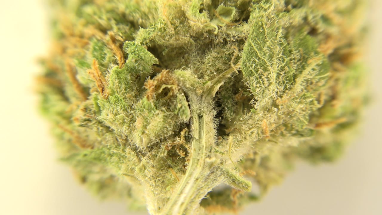 Macro cannabis bud with green leaves, orange fibers, and pale crystals.