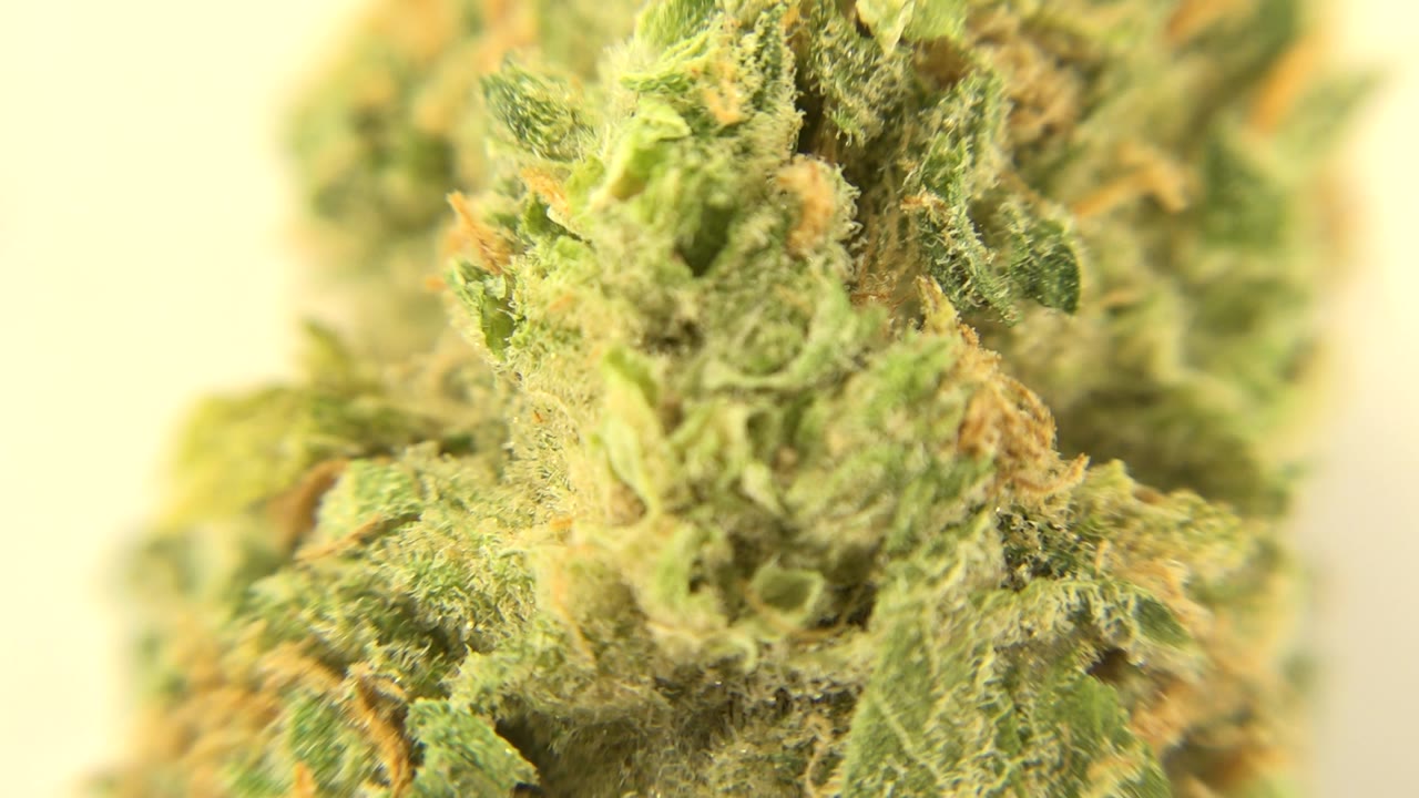 Macro view of green and tan organic bud texture on a pale background.