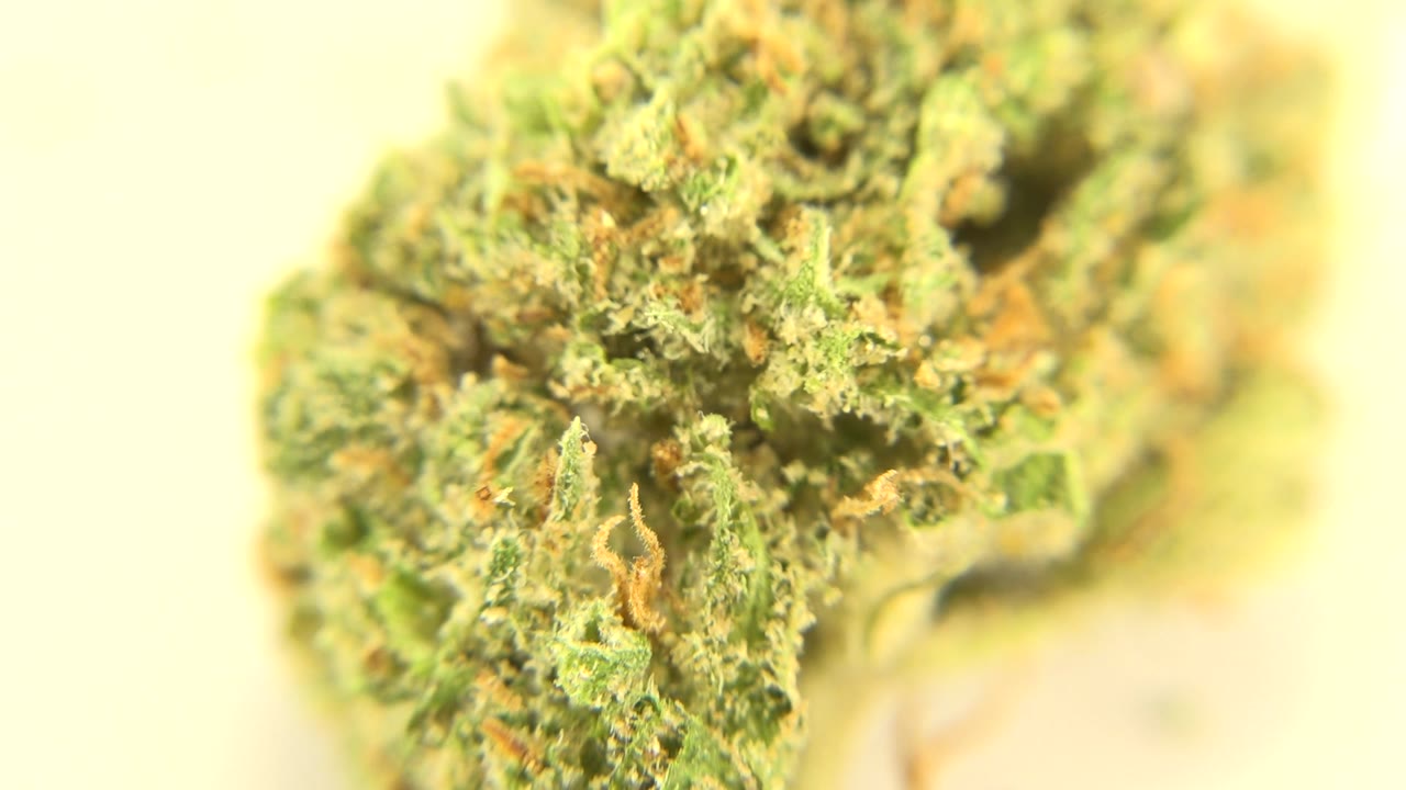 Macro view of marijuana bud against bright background