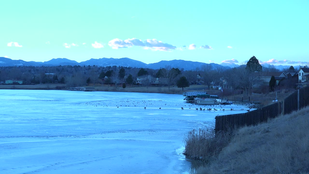 Wide view of a blue lake in Westminster, Colorado with a dark fence and reeds at right, homes and bare trees across the shore, distant mountains, and no visible people.