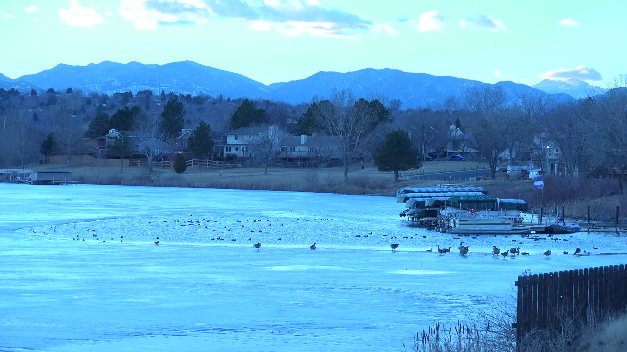 Frozen lake with birds on the ice, shoreline homes, trees, and mountains