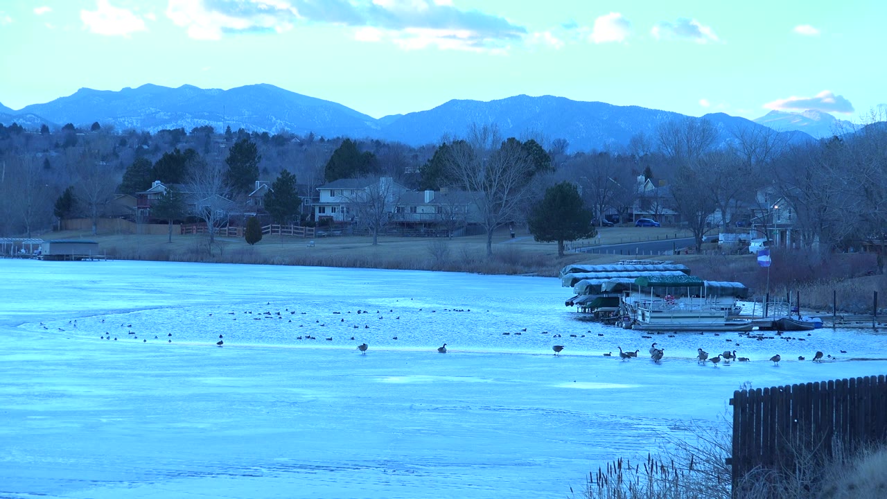Second frame holds on the Westminster frozen lake, with birds spread across the icy foreground, a covered dock area at mid-right, residential houses behind trees, mountains, and no visible people.