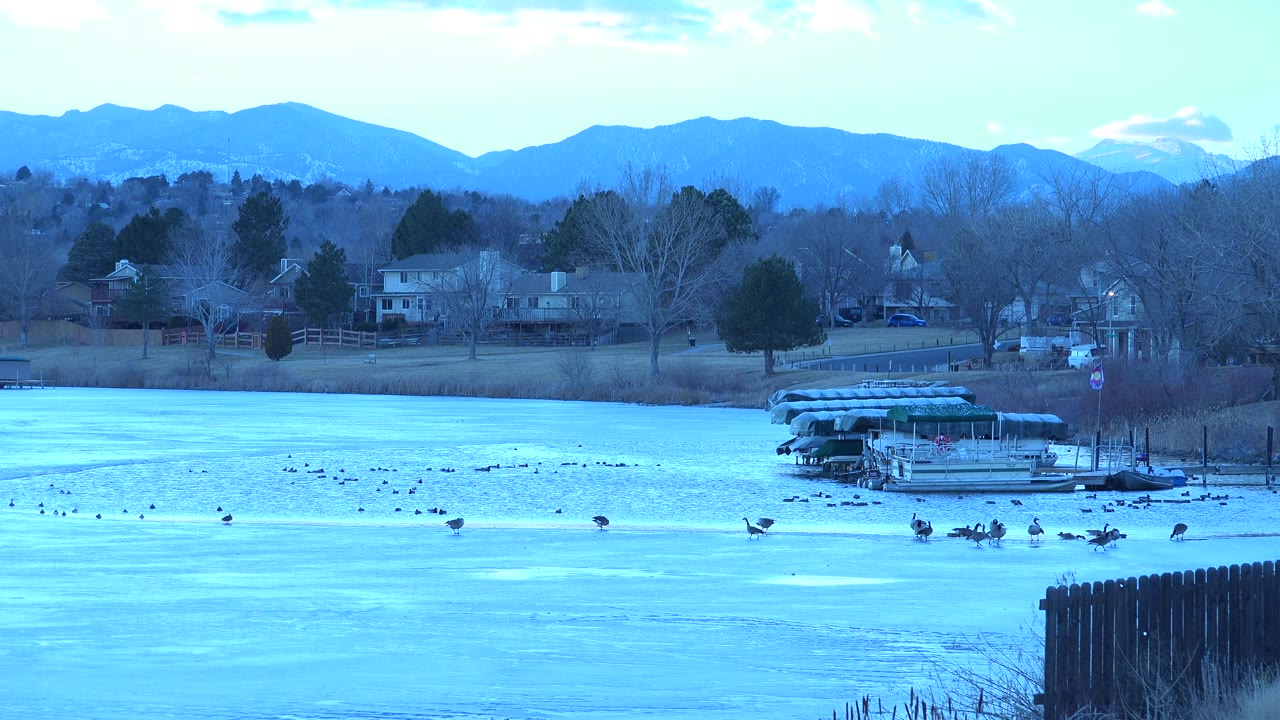 Ducks floating near a shoreline dock with winter trees and mountains behind.