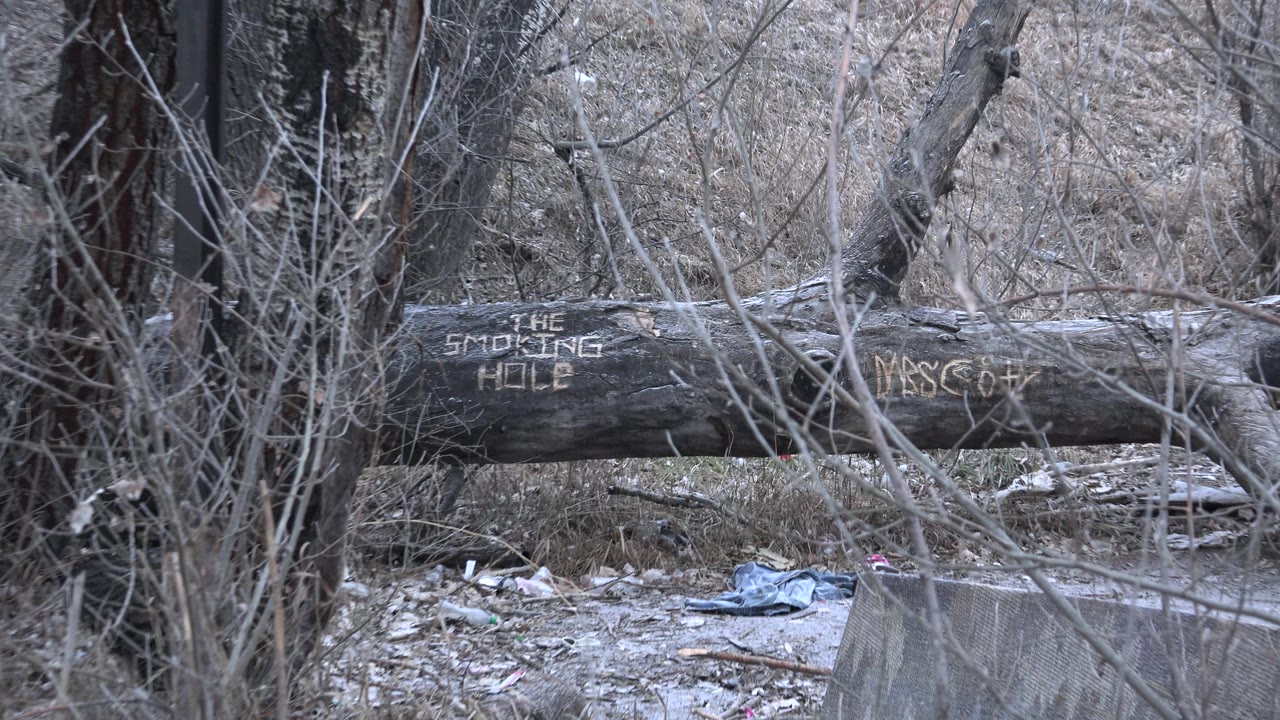 Marked fallen trunk and blue fabric on ground