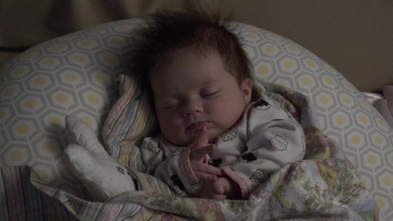 The infant remains asleep on patterned bedding in Westminster, Colorado, with both hands gathered near the chest and the face softly shadowed.