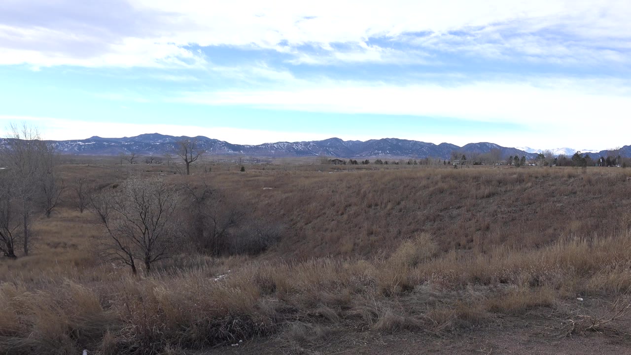 Wide Westminster, Colorado meadow view with dry grass, scattered bare trees, distant snow-patched hills, bright sky, and no visible people.
