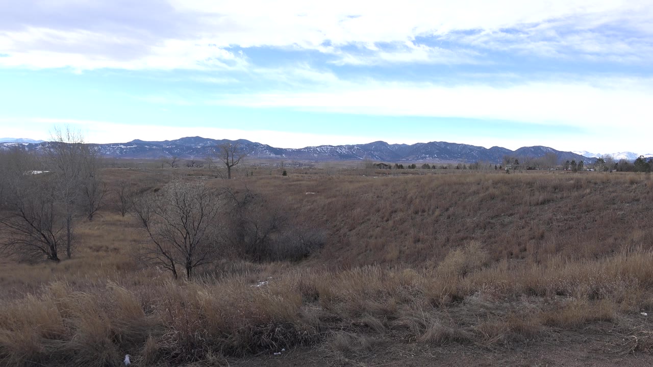 Open meadow and brush with bare trees and distant Colorado hills.