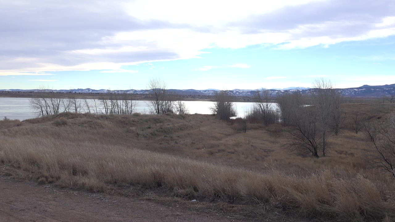 A slightly later view holds on the Westminster lakeshore, with clumped dry grass in the foreground, bare trees at the shoreline, water behind them, and no visible people.