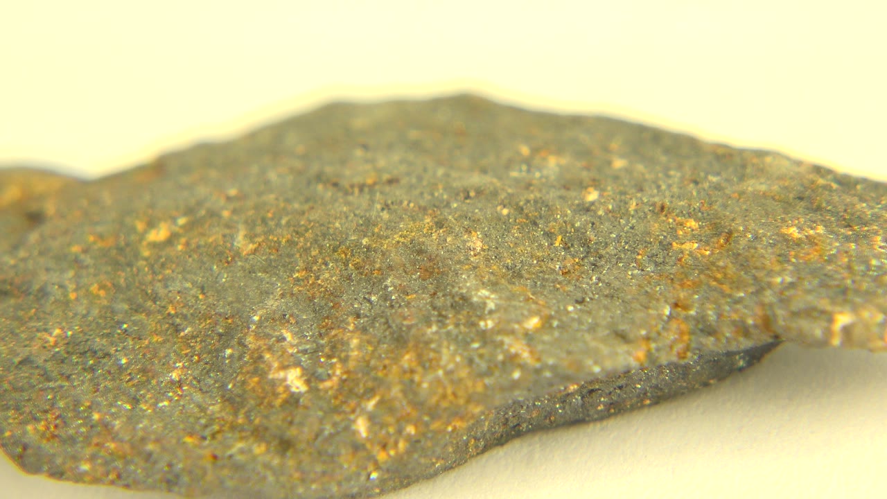 Opening close-up of a gray-brown rock or organic fragment with orange flecks on a pale surface in Westminster, Colorado, with no visible people.