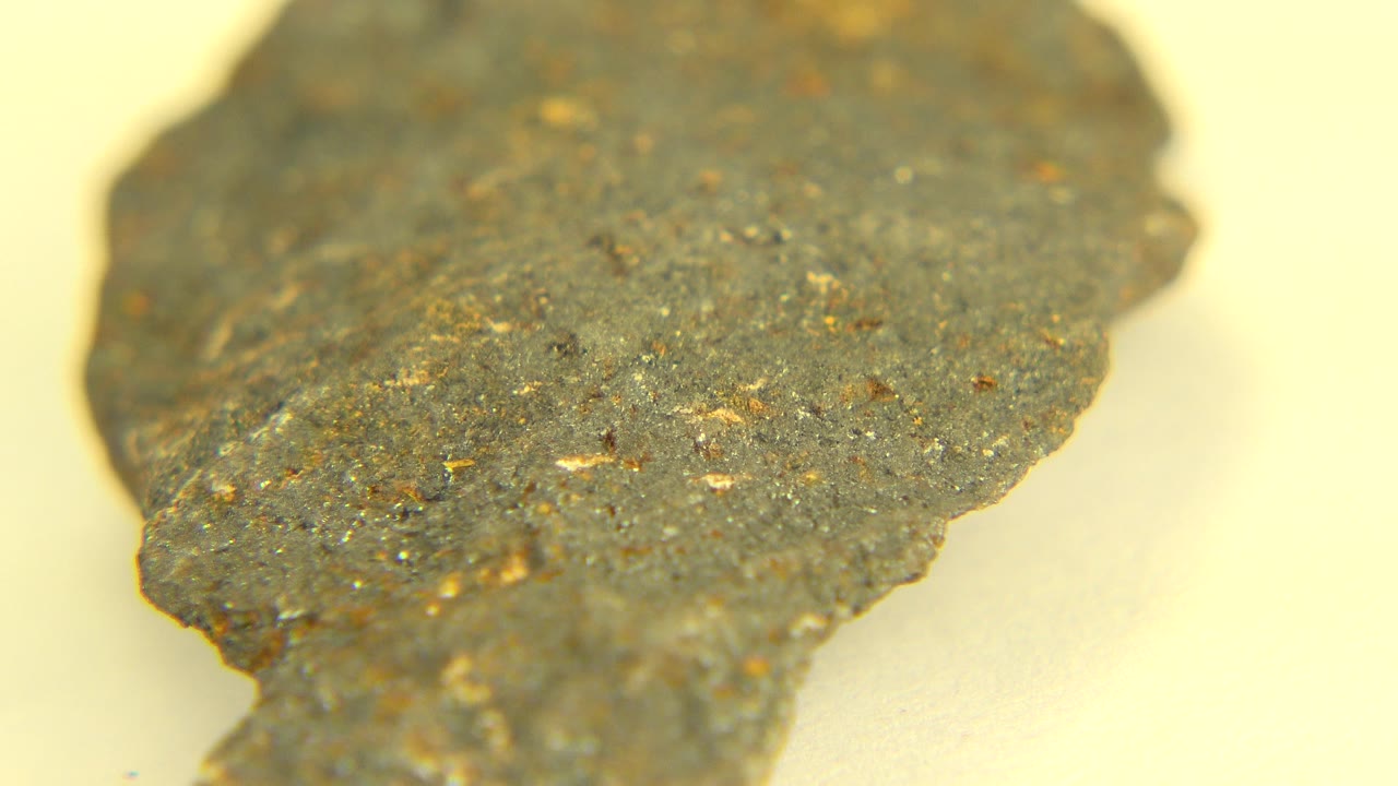 Close view of a dark speckled rock on a pale surface.