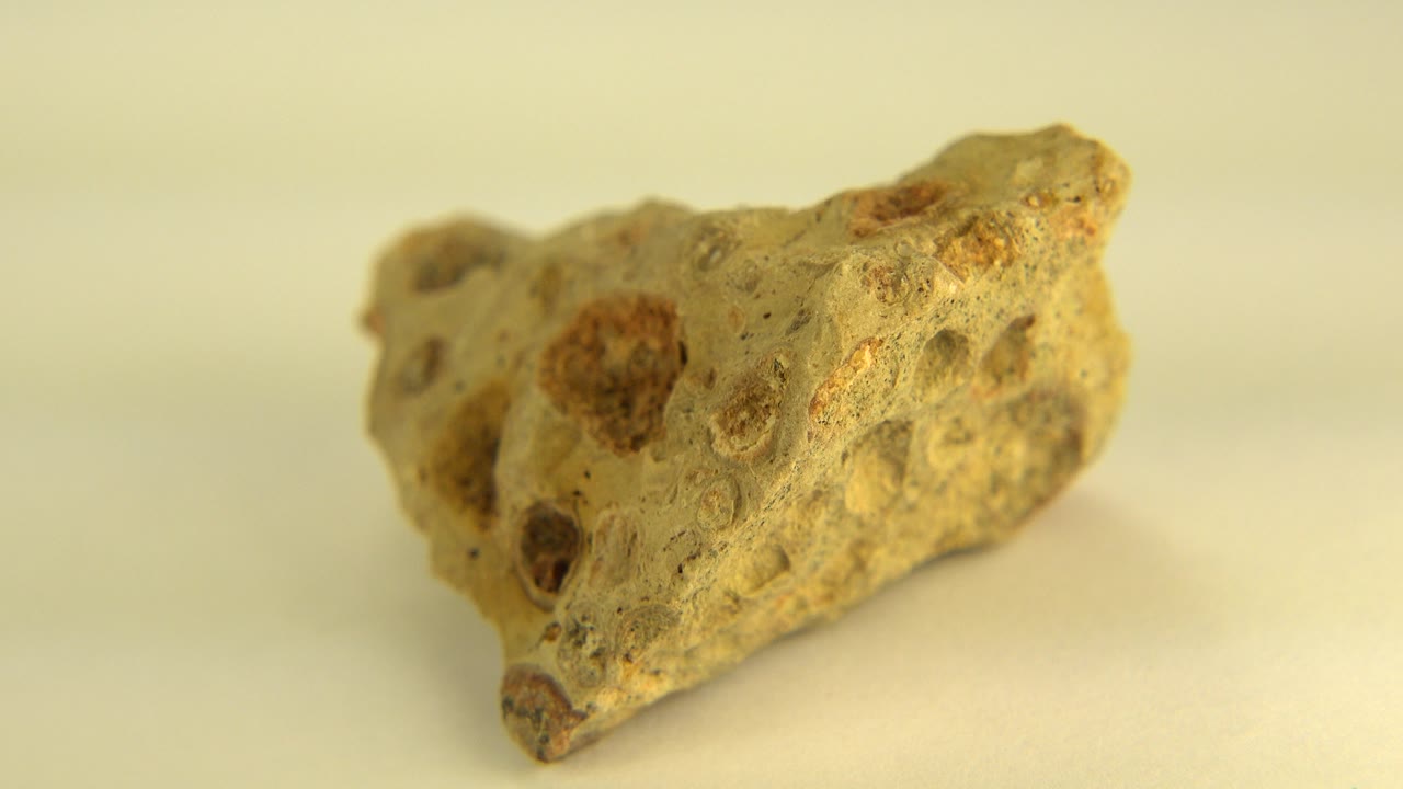 Close view of a yellow-tan porous rock with brown patches on a pale surface in Westminster, Colorado, with no visible people.