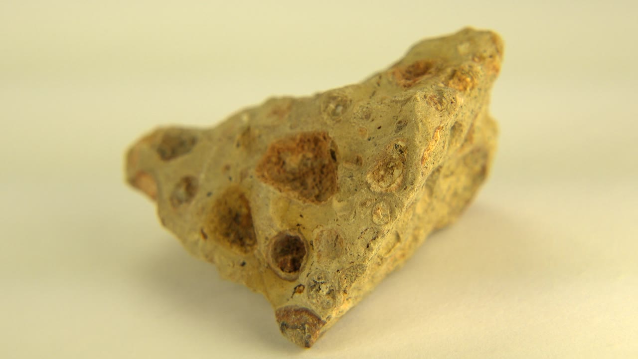 Pointed porous rock angled across a pale surface.