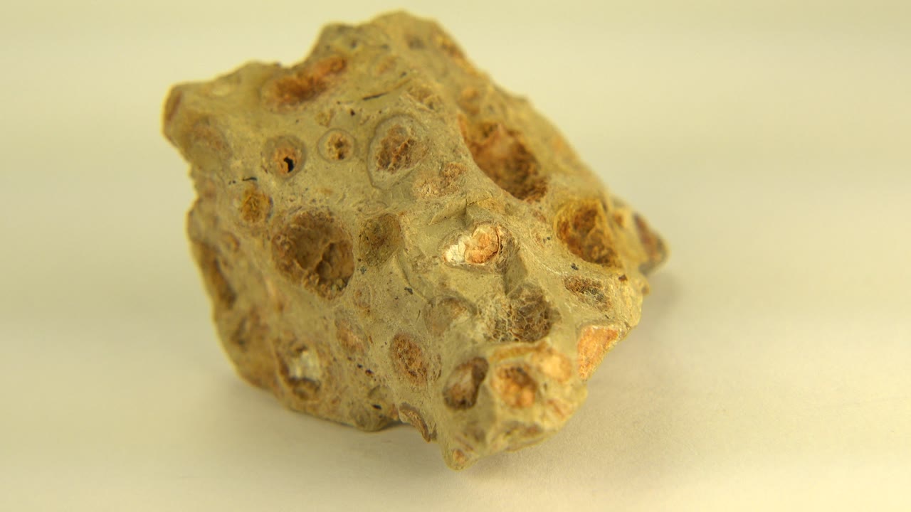 Small pitted stone turned toward the right side
