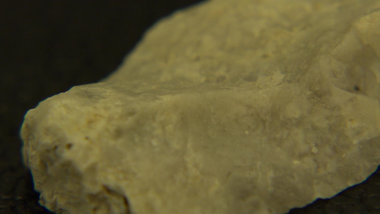 Close-up of a pale white rock specimen on a dark pedestal in Westminster, Colorado, with rough texture lit from the front and no visible people.