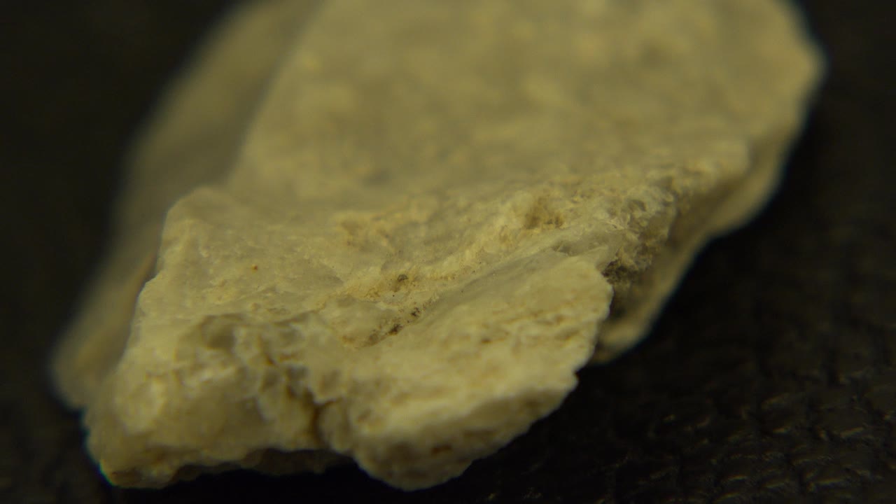 Pale tan rock on a dark surface in close-up.