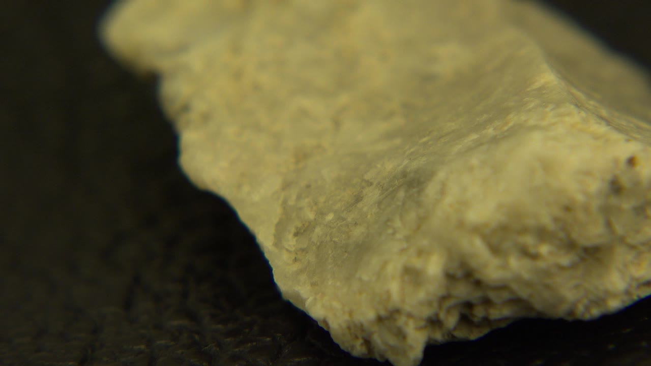 Close view of a pale tan flat rock with a chipped edge on a dark surface in Westminster, Colorado, with no visible people.