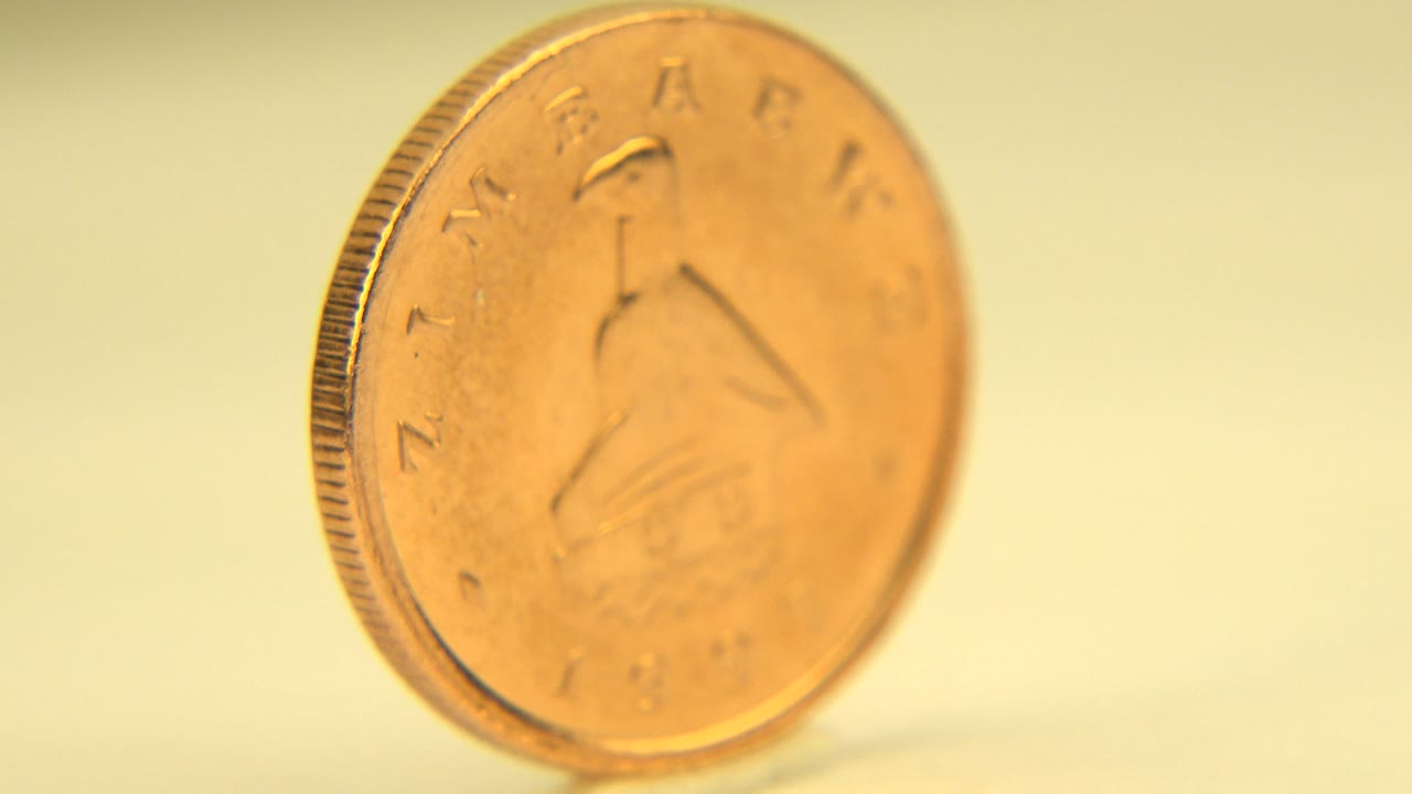 Gold Zimbabwe coin spinning with bird emblem partly visible