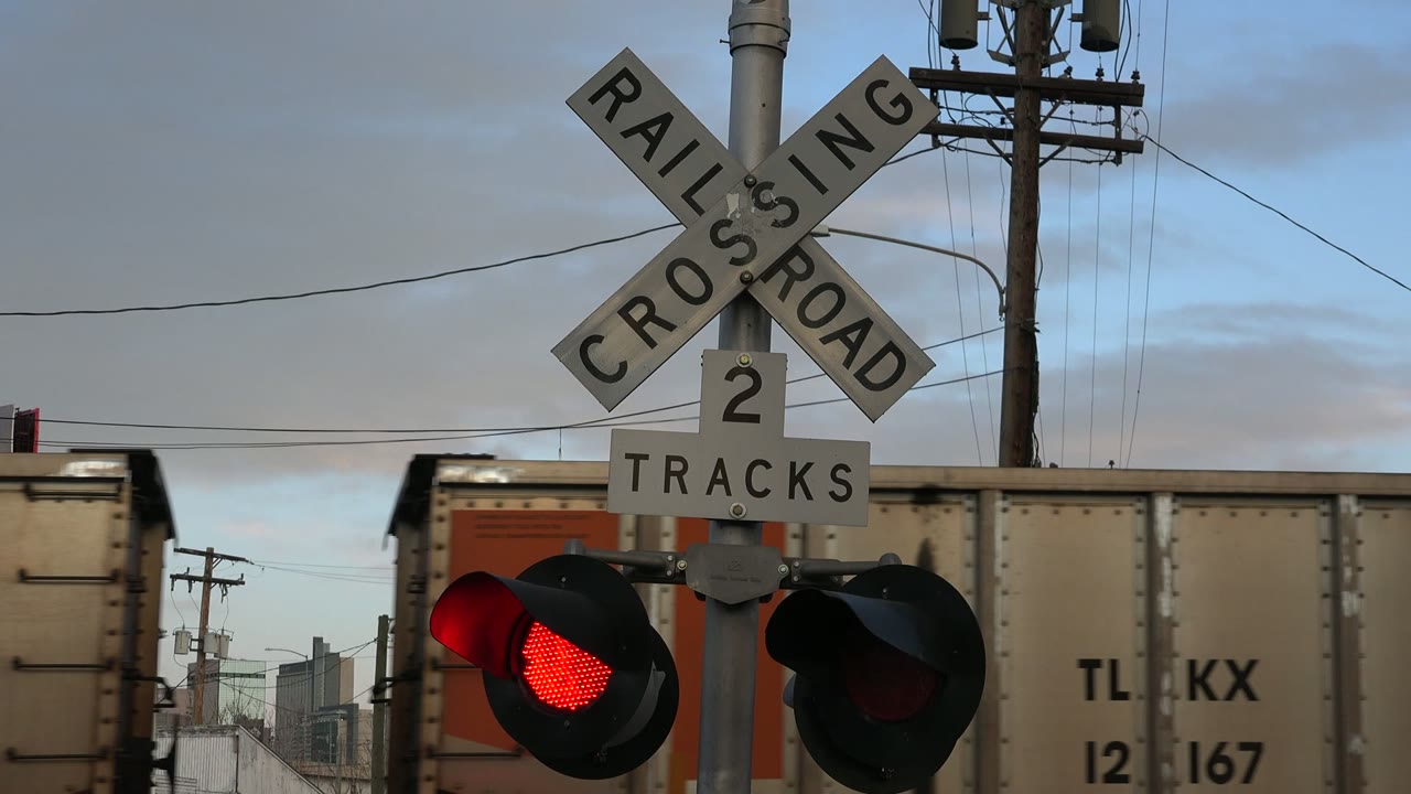 Railroad crossing signal with red lights as a freight train passes behind it.