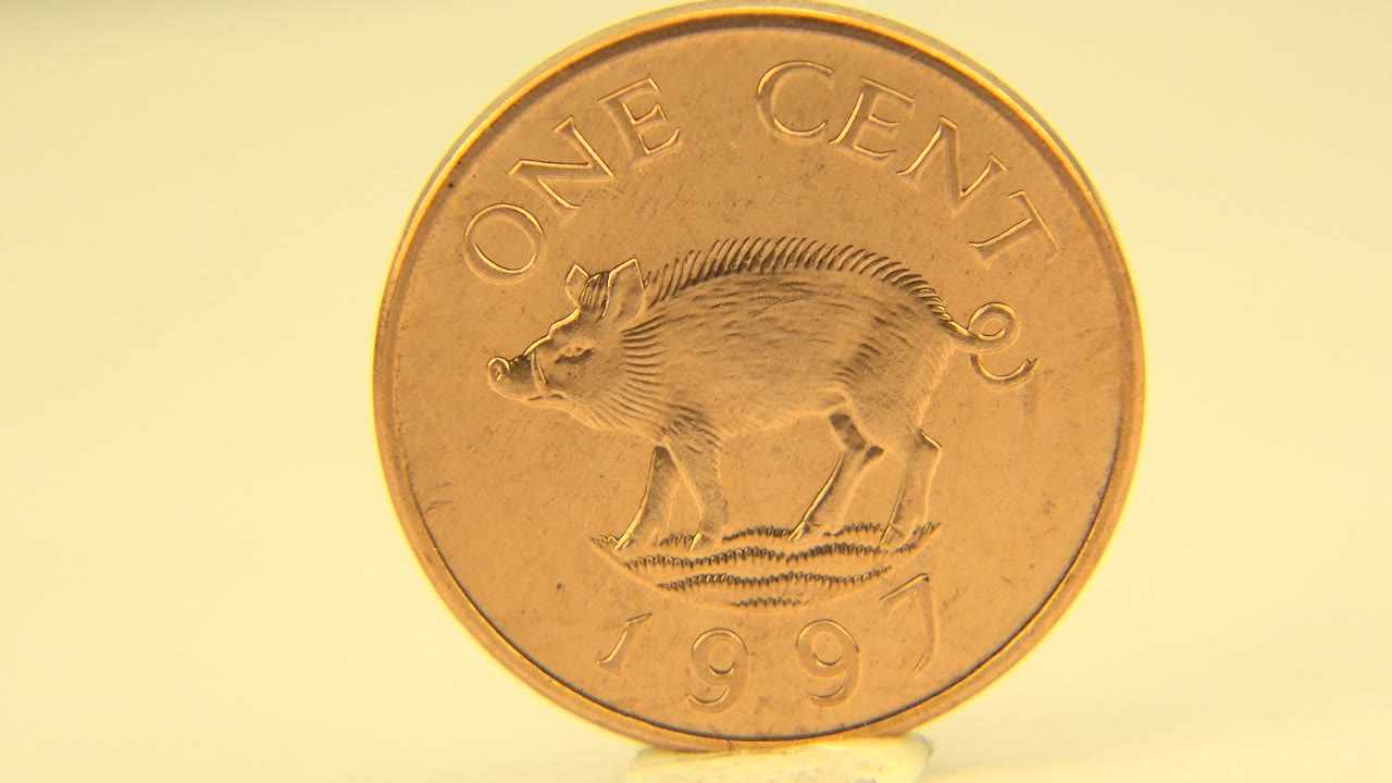 A gold-colored one-cent coin stands nearly face-on in Westminster, Colorado footage, showing the raised animal design and 1997 date with no visible people.
