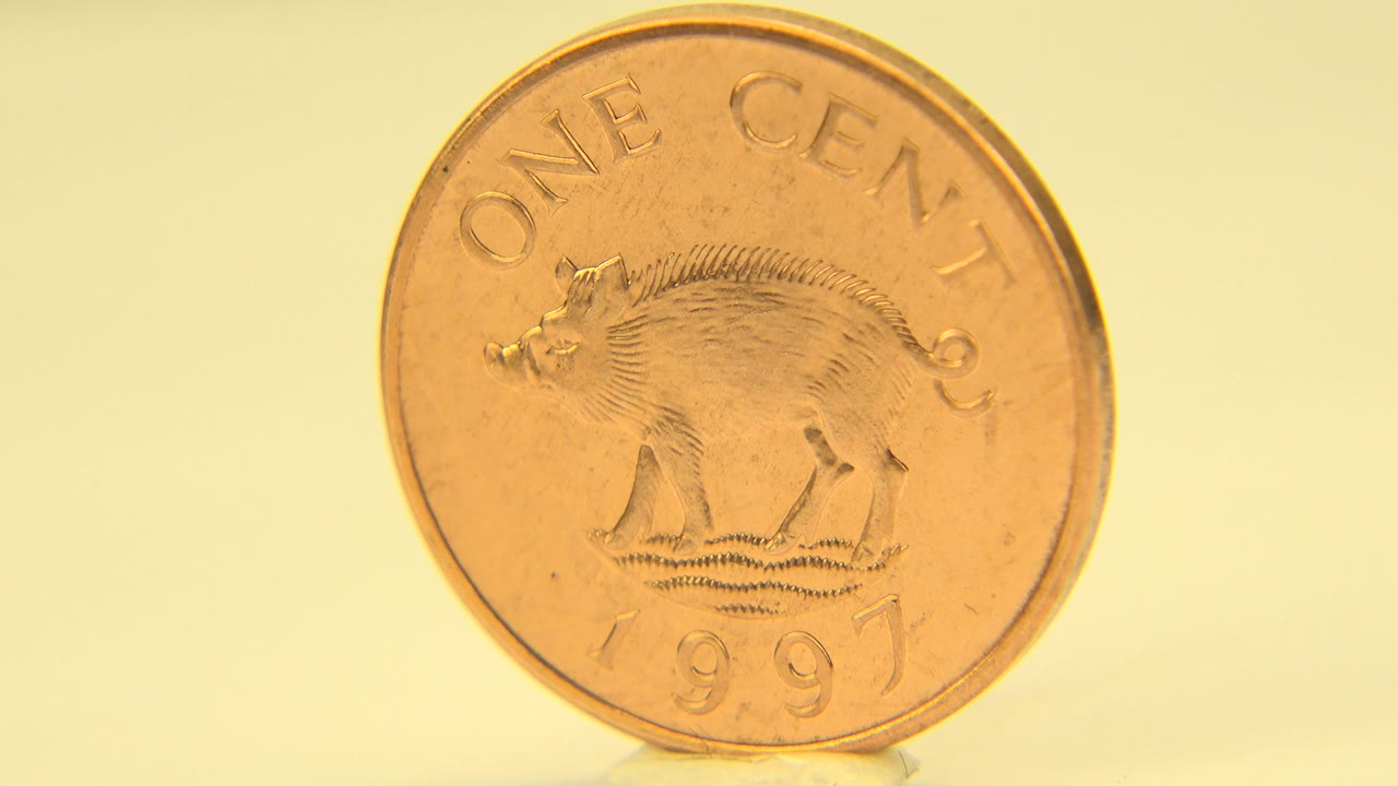 Coin angled slightly right with its front still visible.