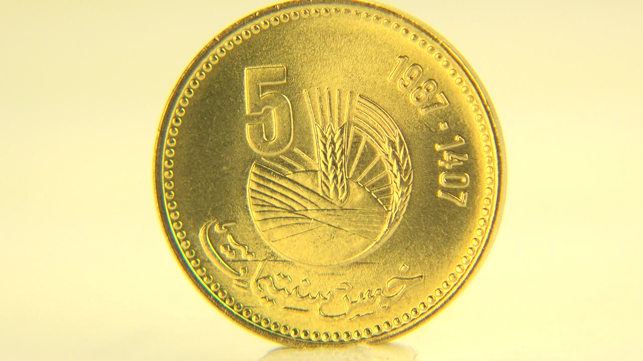 A gold-colored 5-rupee coin stands nearly face-on on a pale tabletop in Westminster, Colorado, with warm yellow light and no visible people.