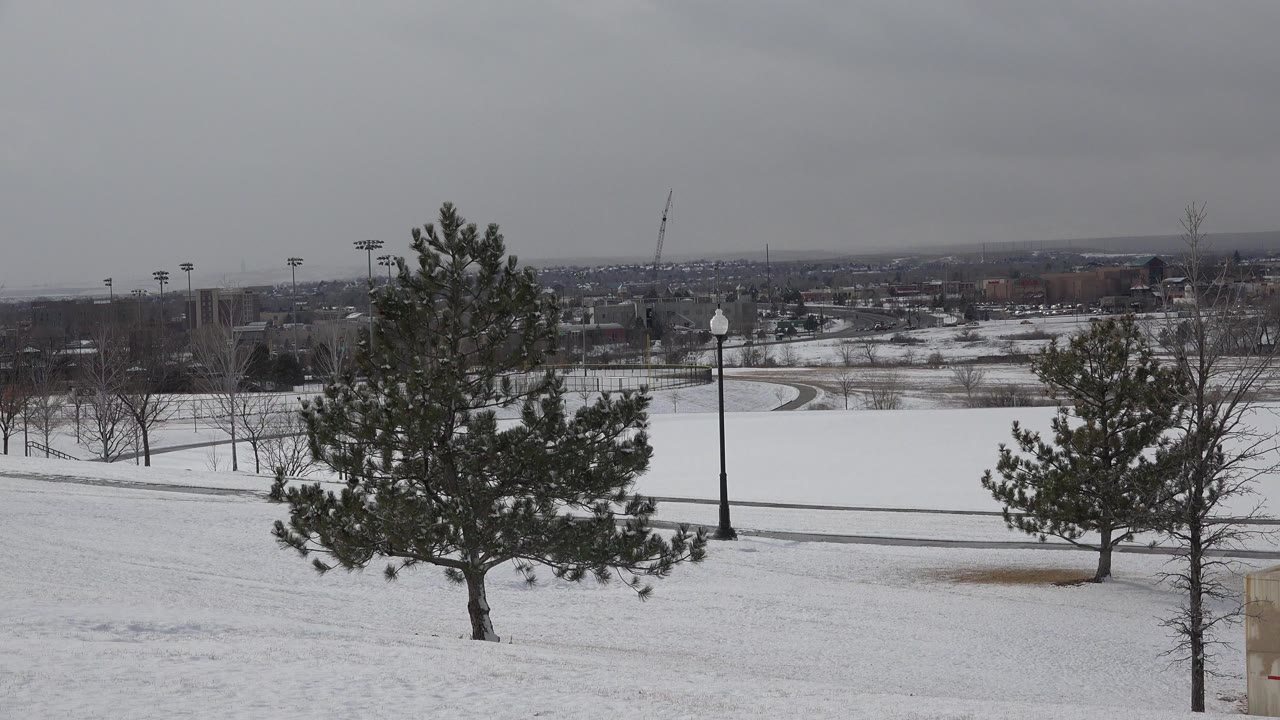 Opening frame of a snowy Westminster, Colorado field with an evergreen tree left of center, a road or path behind it, distant buildings, and no visible people.