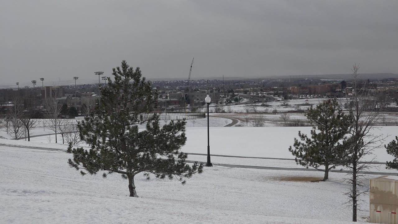 Opening frame of a snow-covered park in Westminster, Colorado, with pine trees in the foreground, a lamppost near the middle distance, distant buildings on the horizon, and no visible people.