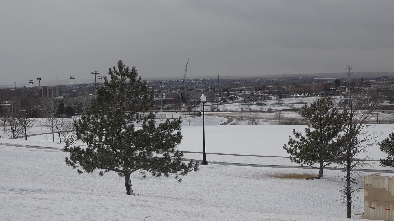 Snow-covered park with two pine trees, a lamppost, and distant town skyline.