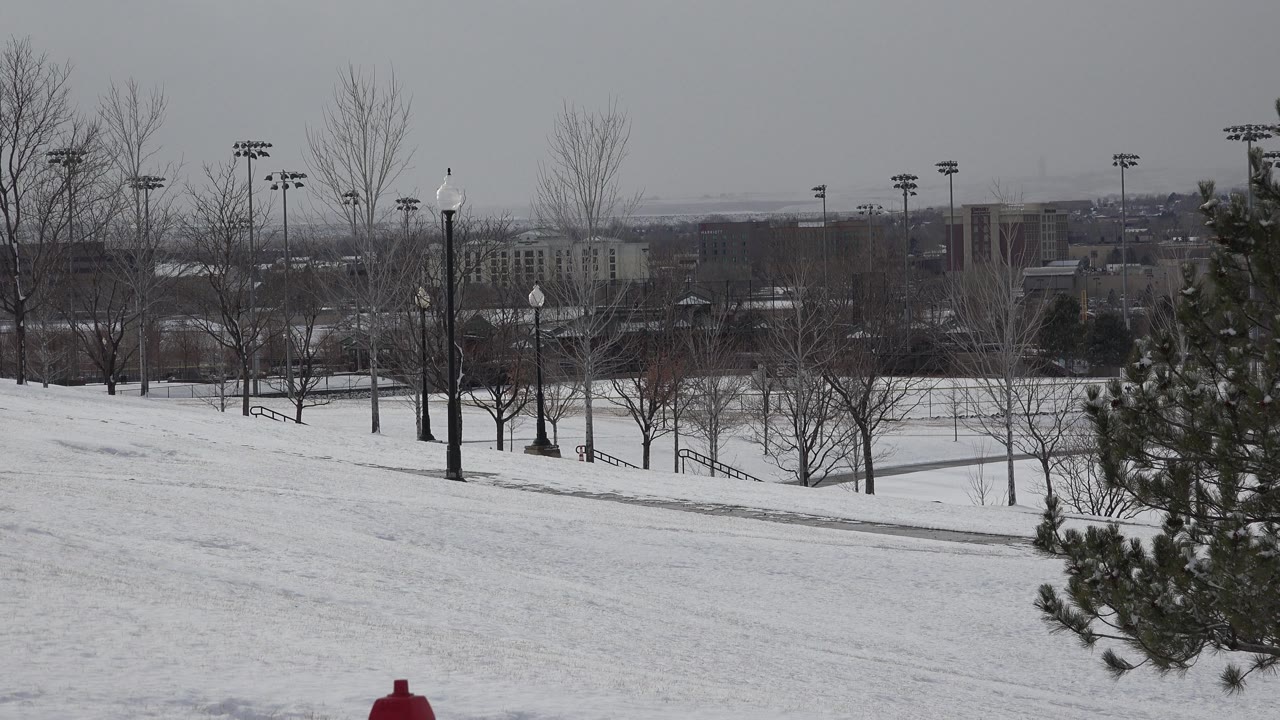Winter sports fields seen past a snowy hill and trees.