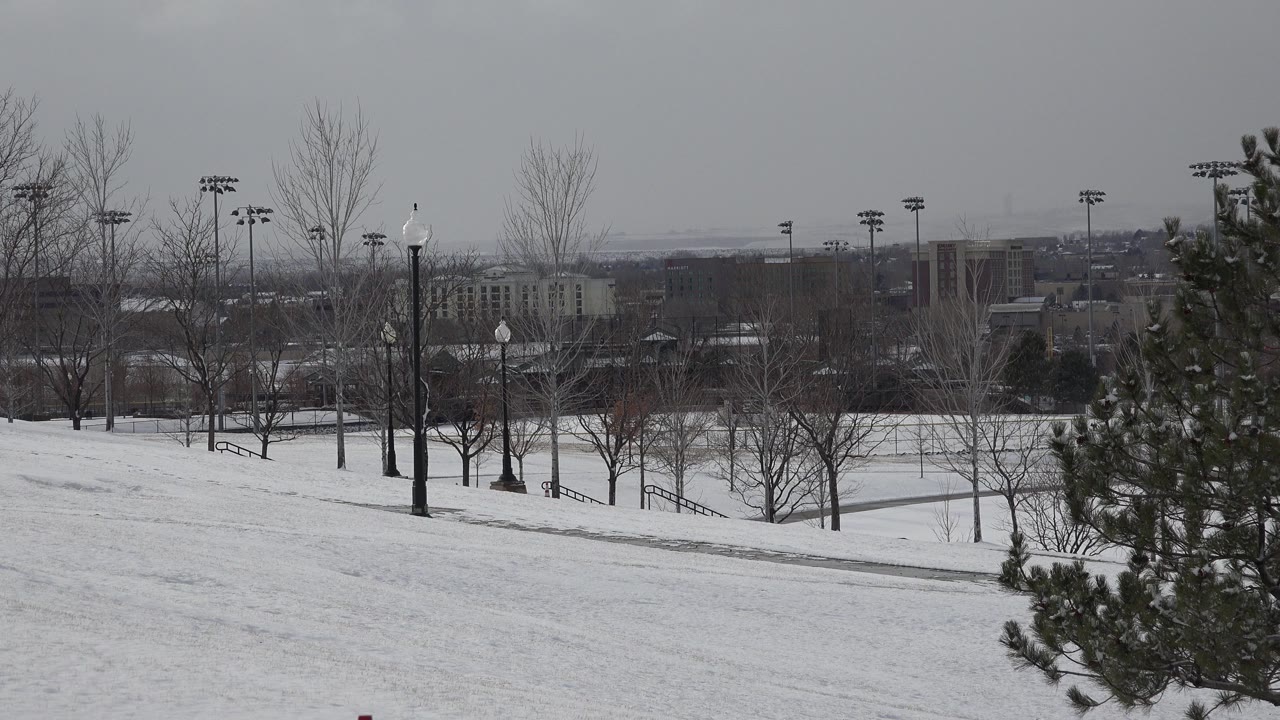 Wide winter view in Westminster, Colorado with snow-covered ground, leafless trees, black lamp posts, distant buildings, gray sky, a pine at the right edge, and no visible people.