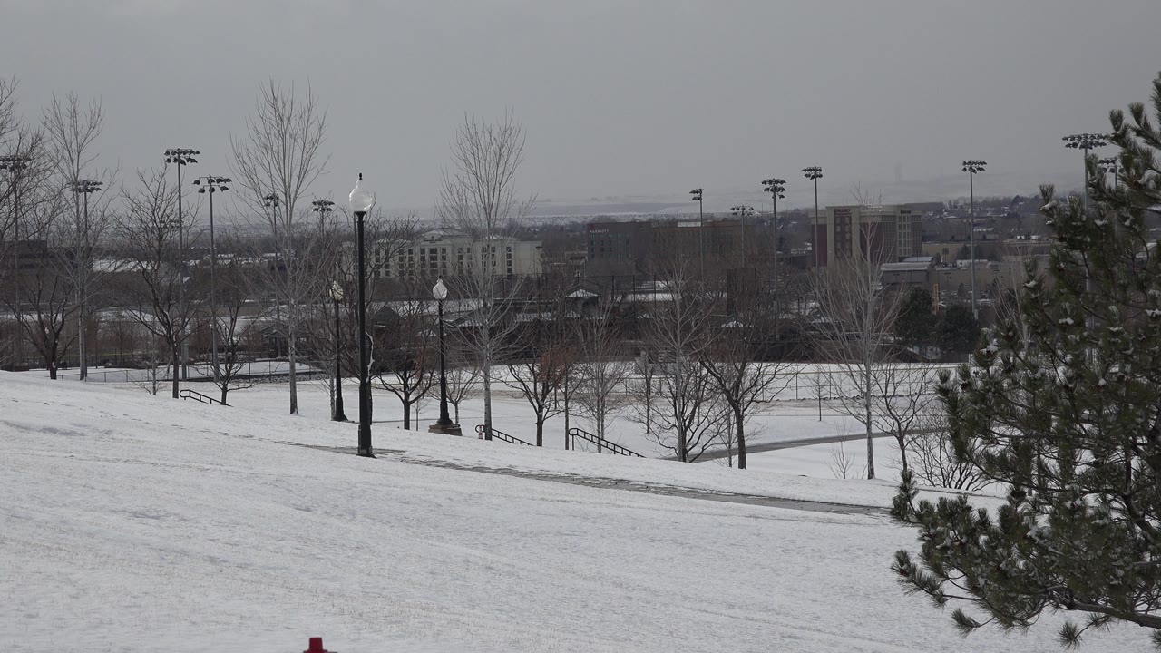 Wide snow-covered park with bare trees, lamps, paths, and distant city buildings.