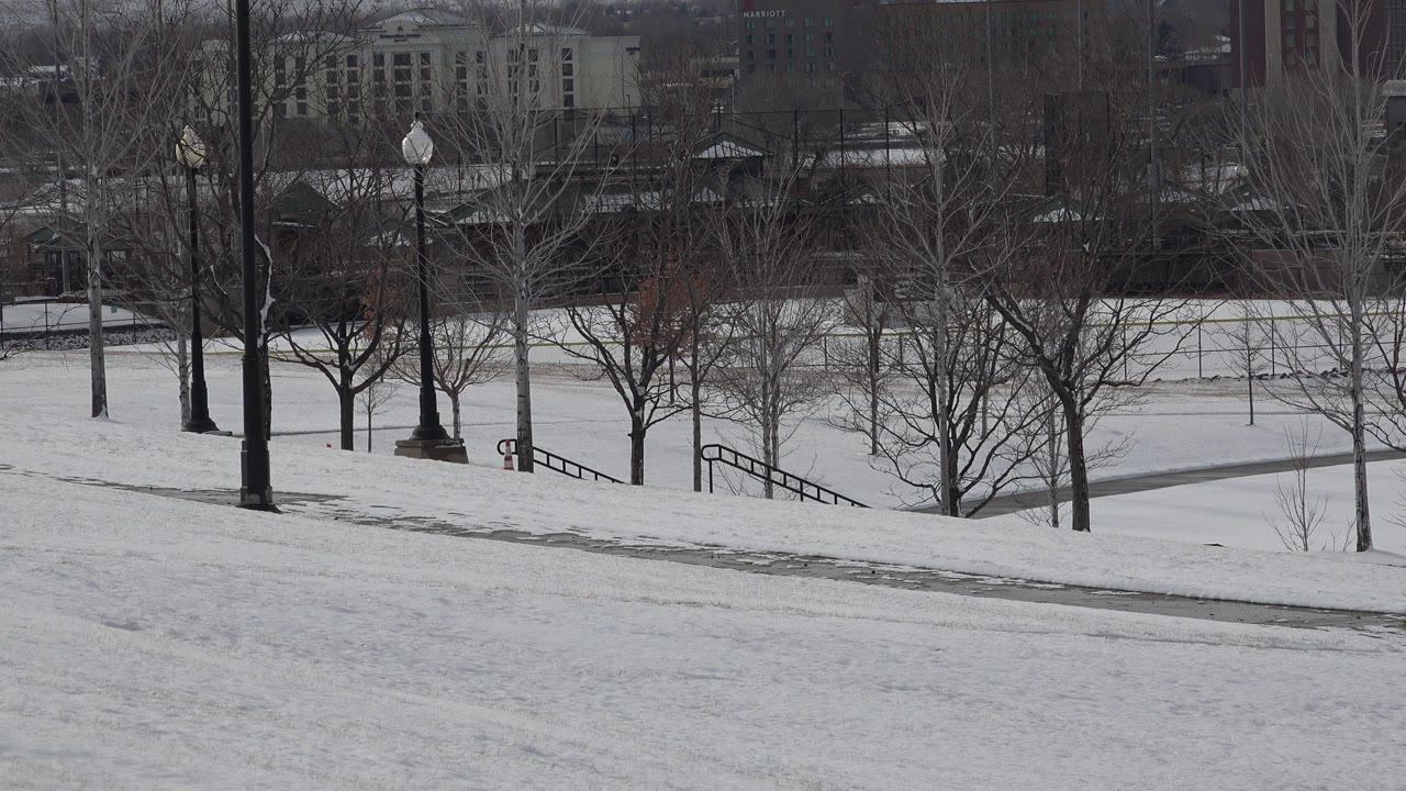 Snowy urban park edge with bare trees, lamp posts, paths, and distant buildings.