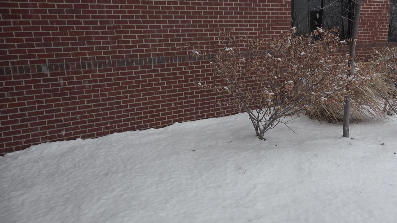 Opening frame in Westminster, Colorado showing snow-covered ground, a red brick wall, a dark window, bare shrubs, and no visible people.