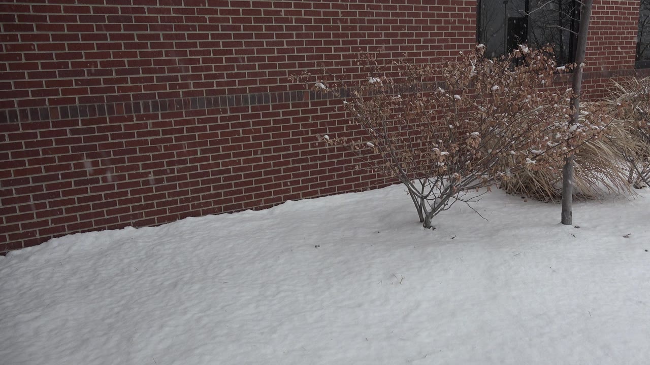 At 0:01, the Westminster, Colorado exterior holds on snow in the foreground, a red brick wall behind it, bare shrubs, dry grass, and no visible people.